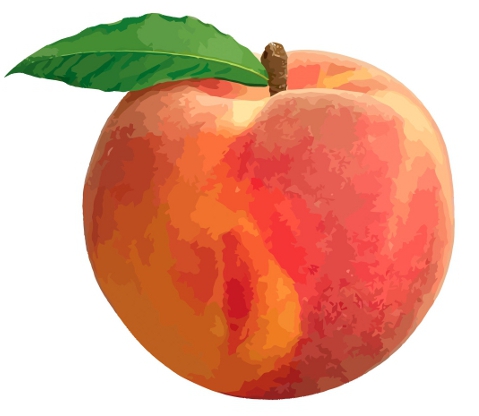 Peach Photo